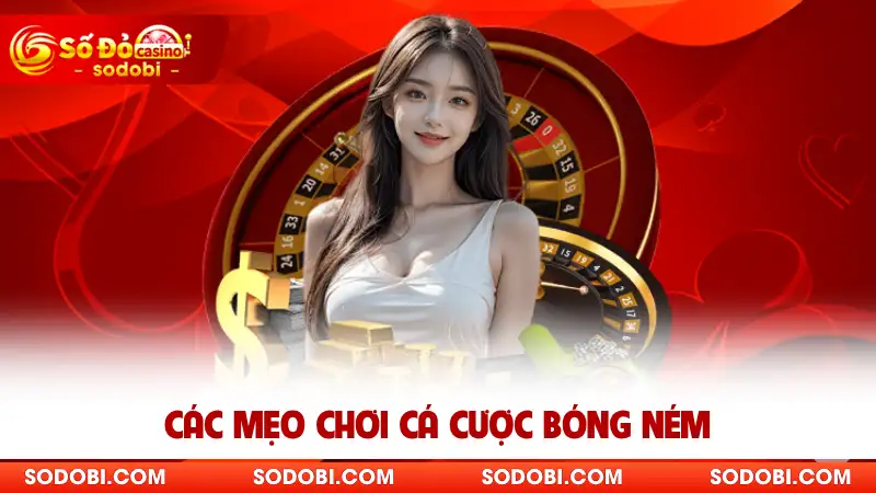 Các mẹo chơi cá cược bóng ném 