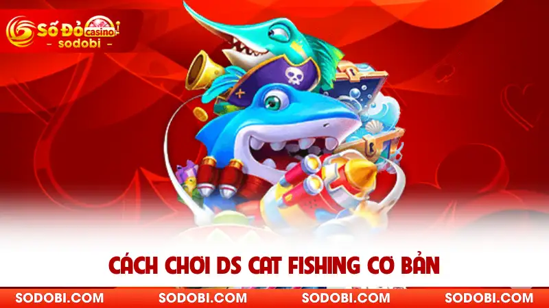 Cách chơi DS Cat Fishing cơ bản