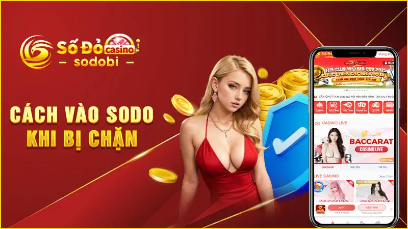 cách vào sodo khi bị chặn