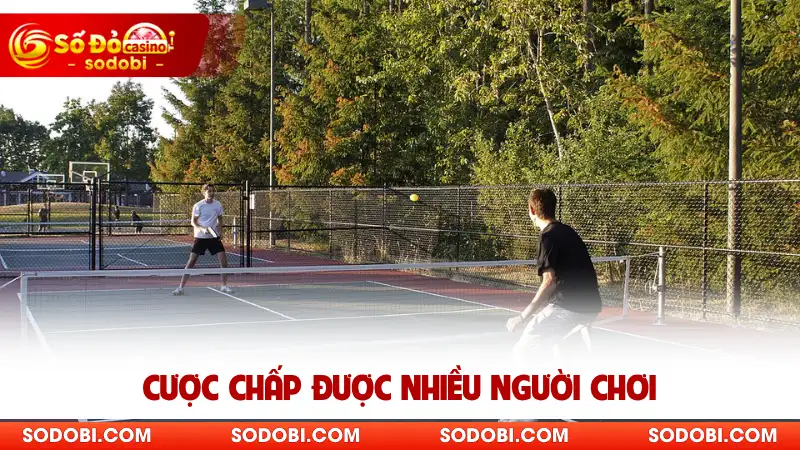 Chơi cược chấp được nhiều người chọn