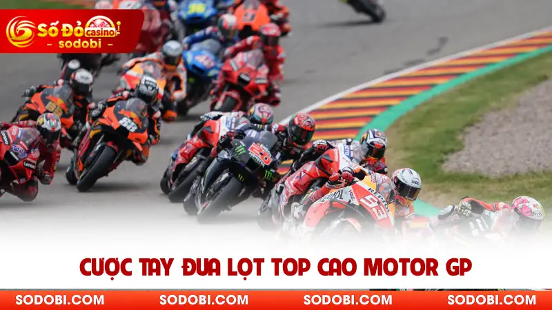 Cược tay đua lọt top cao Motor GP