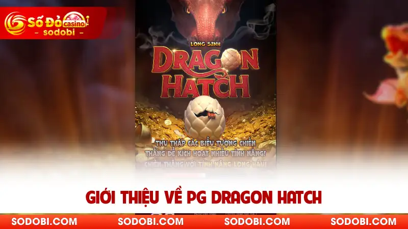 Giới thiệu về PG Dragon Hatch