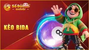 kèo bida