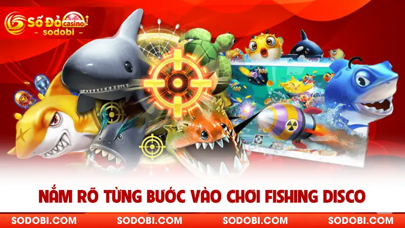 Nắm rõ từng bước vào chơi Fishing Disco
