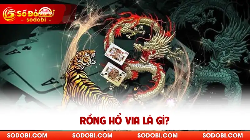 Rồng Hổ Via là gì?