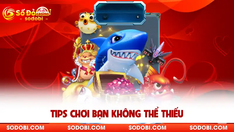 Tips chơi bạn không thể thiếu