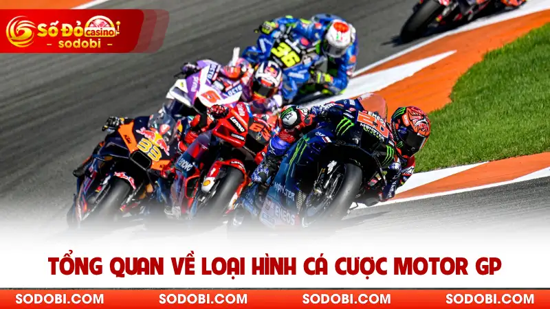 Tổng quan về loại hình cá cược Motor GP