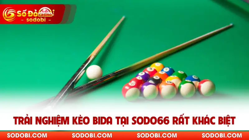 Trải nghiệm kèo bida tại SODO rất khác biệt