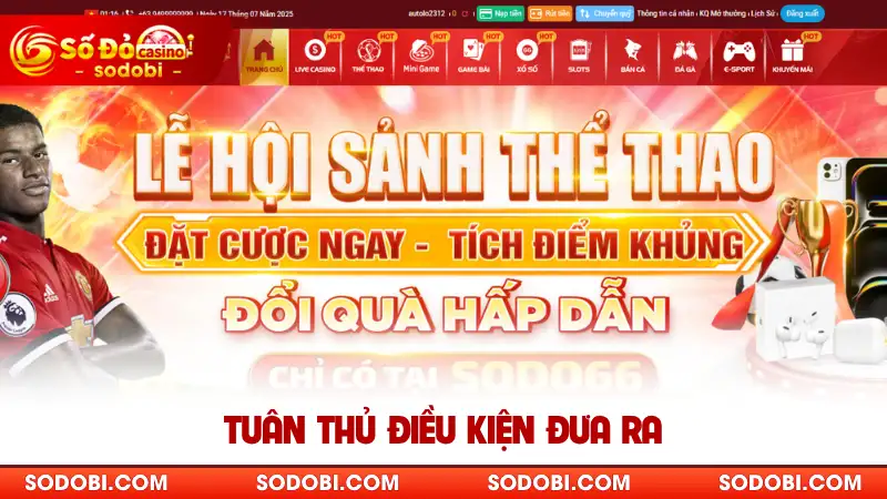 Tuân thủ điều kiện đưa ra